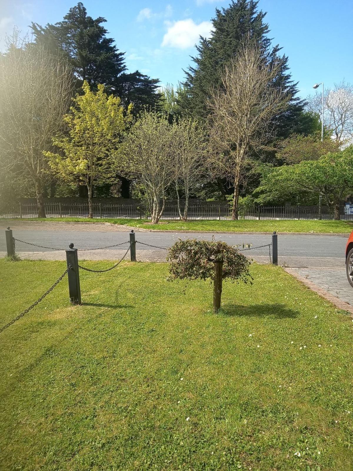 El Roi Guest Accommodation Waterford Buitenkant foto